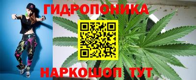трава Кунгур